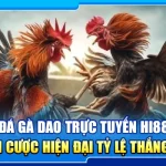 39.da ga dao truc tuyen hi88 – sanh cuoc hien dai ty le thang cao 2